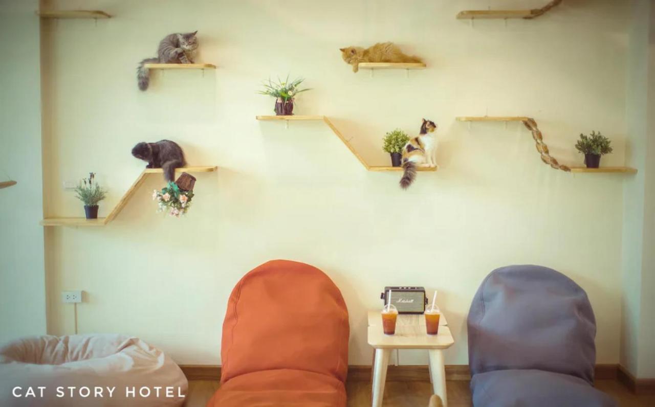 Cat Story Hotel Patong Exterior foto
