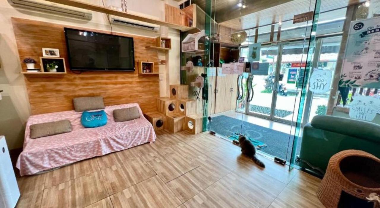 Cat Story Hotel Patong Exterior foto