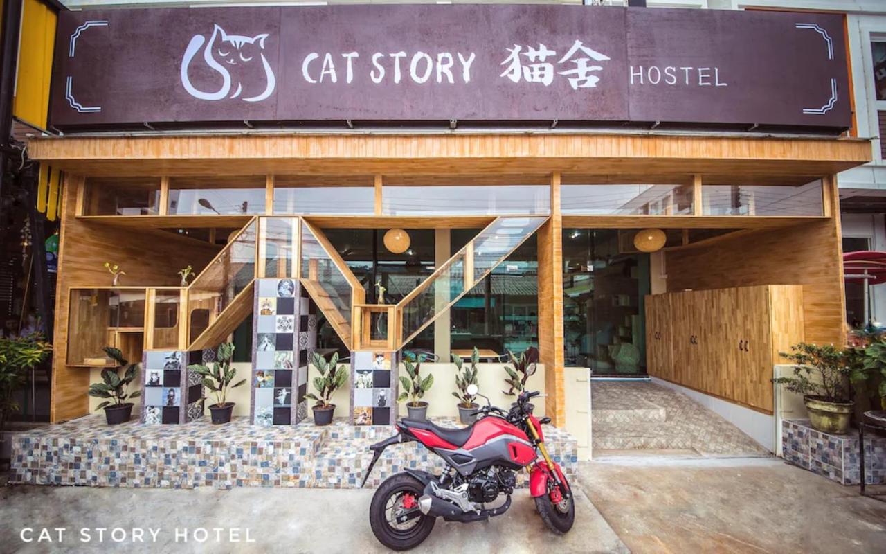 Cat Story Hotel Patong Exterior foto