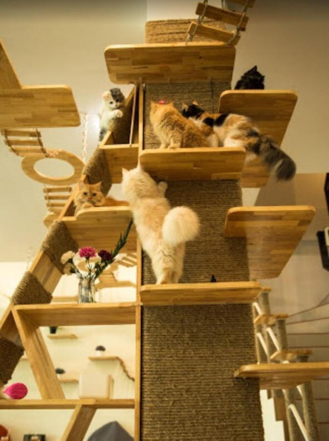 Cat Story Hotel Patong Exterior foto