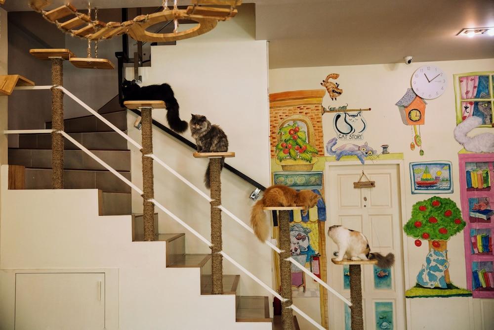 Cat Story Hotel Patong Exterior foto